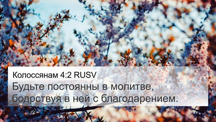 Колоссянам 4:2 RUSV Bible Verse Image