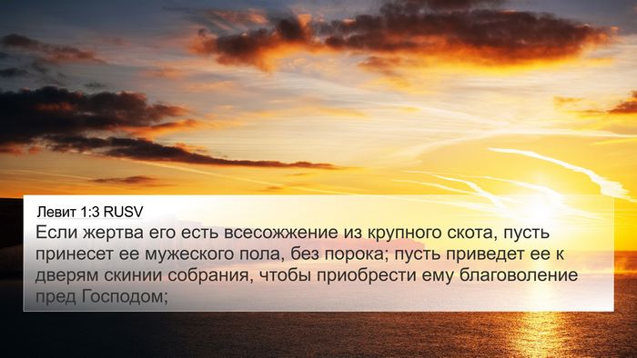 Левит 1:3 RUSV Bible Verse Image