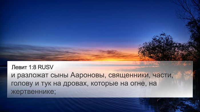 Левит 1:8 RUSV 4K Wallpaper - и разложат сыны Аароновы, - 4K Wallpaper Bible Verse