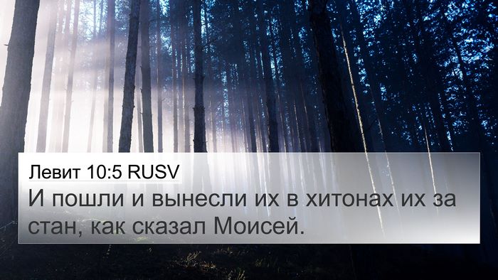 Левит 10:5 RUSV Bible Verse Image