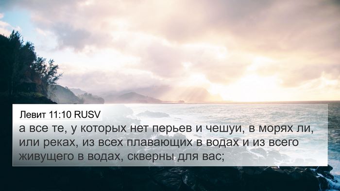 Левит 11:10 RUSV 4K Wallpaper - а все те, у которых нет - 4K Wallpaper Bible Verse