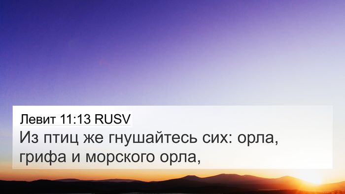 Левит 11:13 RUSV Bible Verse Image