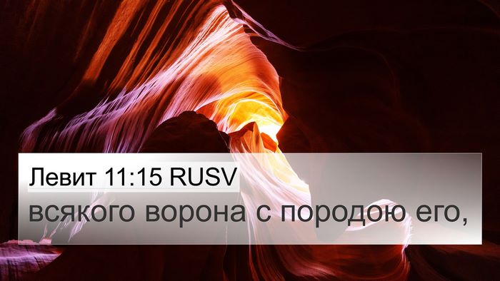 Левит 11:15 RUSV 4K Wallpaper - всякого ворона с породою - 4K Wallpaper Bible Verse