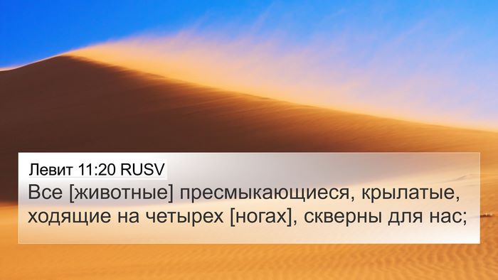 Левит 11:20 RUSV Bible Verse Image