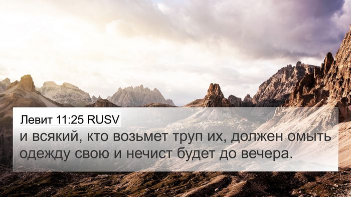Левит 11:25 RUSV Bible Verse Image