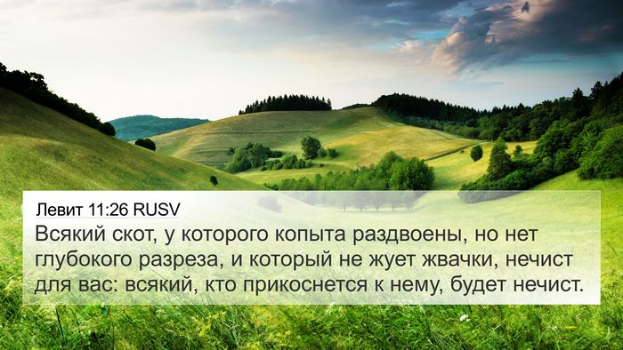 Левит 11:26 RUSV 4K Wallpaper - Всякий скот, у которого - 4K Wallpaper Bible Verse