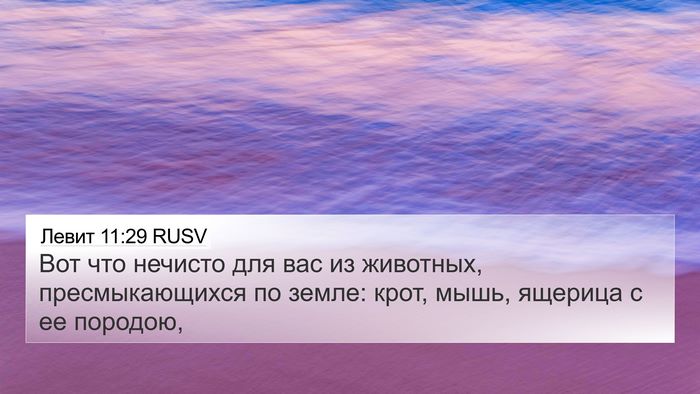 Левит 11:29 RUSV Bible Verse Image