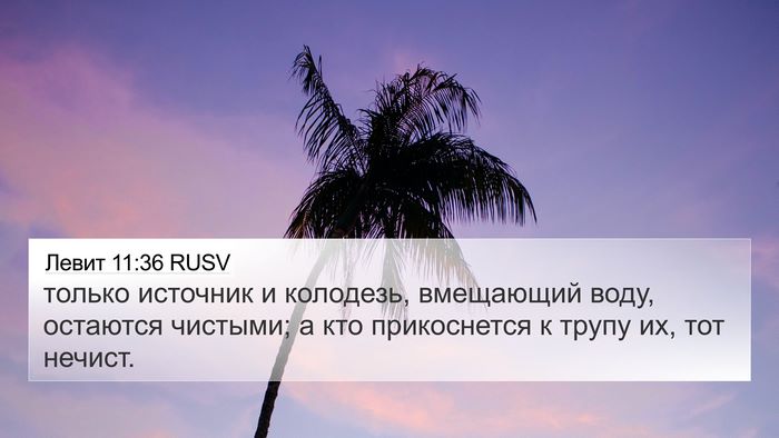 Левит 11:36 RUSV 4K Wallpaper - только источник и - 4K Wallpaper Bible Verse