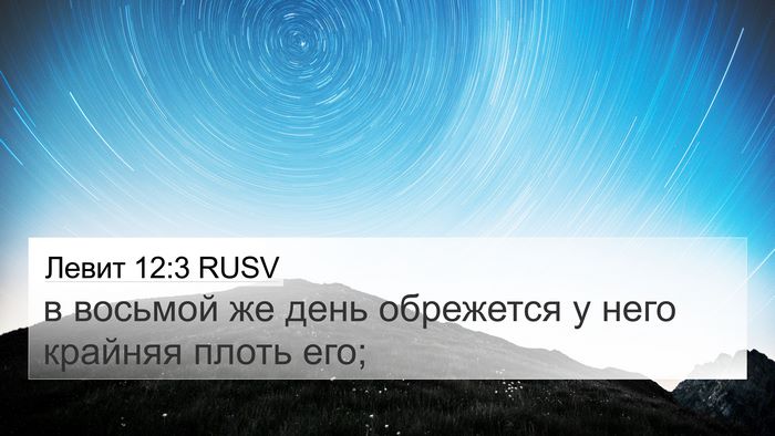 Левит 12:3 RUSV Bible Verse Image