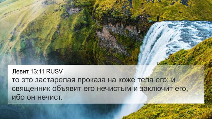 Левит 13:11 RUSV 4K Wallpaper - то это застарелая проказа - 4K Wallpaper Bible Verse