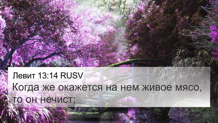Левит 13:14 RUSV Bible Verse Image