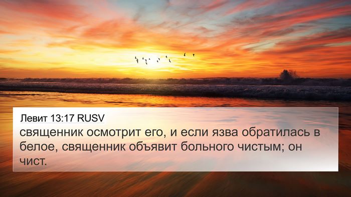 Левит 13:17 RUSV 4K Wallpaper - священник осмотрит его, и - 4K Wallpaper Bible Verse