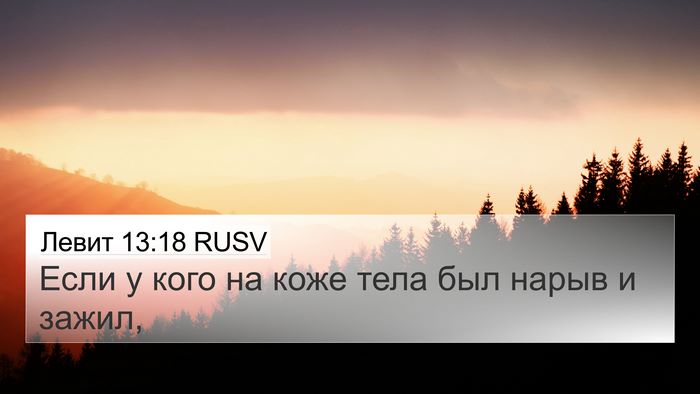 Левит 13:18 RUSV 4K Wallpaper - Если у кого на коже тела - 4K Wallpaper Bible Verse