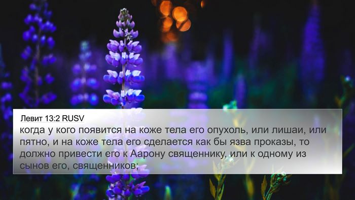 Левит 13:2 RUSV Bible Verse Image