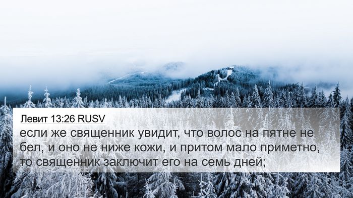 Левит 13:26 RUSV 4K Wallpaper - если же священник увидит, - 4K Wallpaper Bible Verse