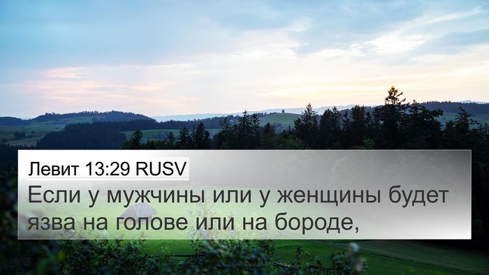 Левит 13:29 RUSV 4K Wallpaper - Если у мужчины или у - 4K Wallpaper Bible Verse