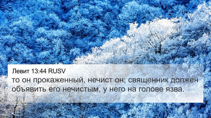 Левит 13:44 RUSV Bible Verse Image