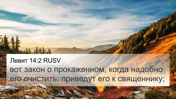 Левит 14:2 RUSV Bible Verse Image