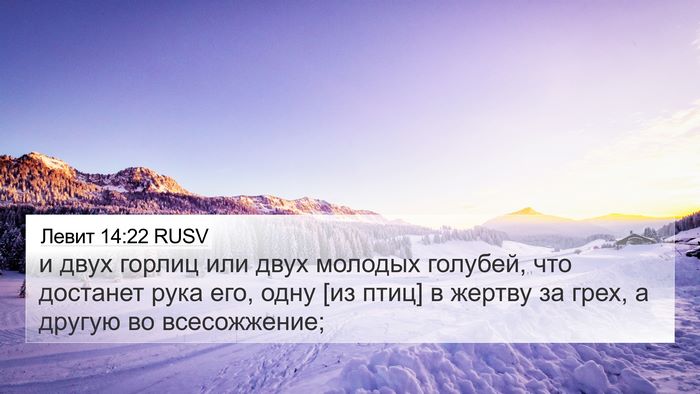 Левит 14:22 RUSV Bible Verse Image