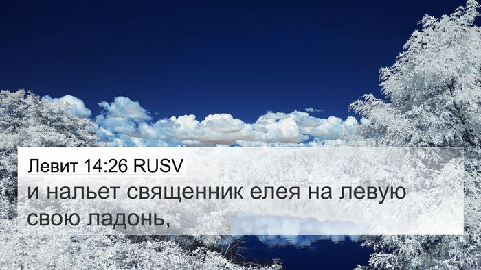 Левит 14:26 RUSV 4K Wallpaper - и нальет священник елея на - 4K Wallpaper Bible Verse