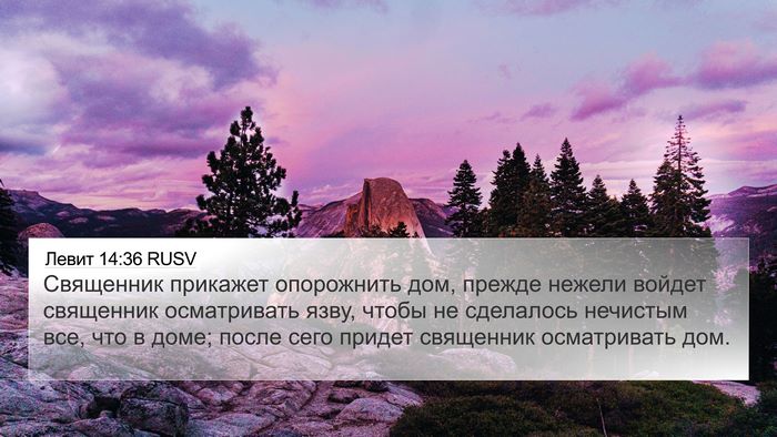 Левит 14:36 RUSV Bible Verse Image