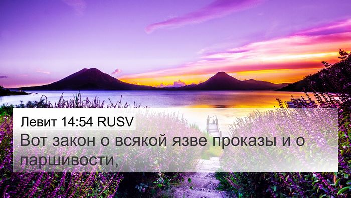 Левит 14:54 RUSV Bible Verse Image