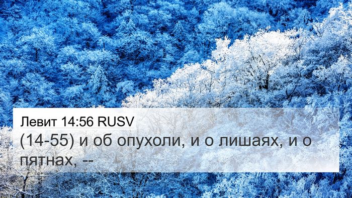 Левит 14:56 RUSV Bible Verse Image