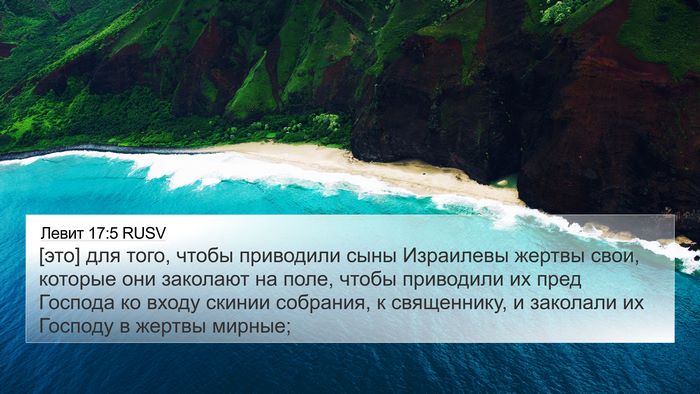 Левит 17:5 RUSV 4K Wallpaper - [это] для того, чтобы - 4K Wallpaper Bible Verse