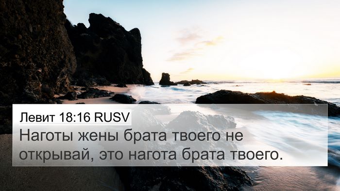Левит 18:16 RUSV Bible Verse Image