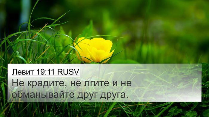 Левит 19:11 RUSV Bible Verse Image