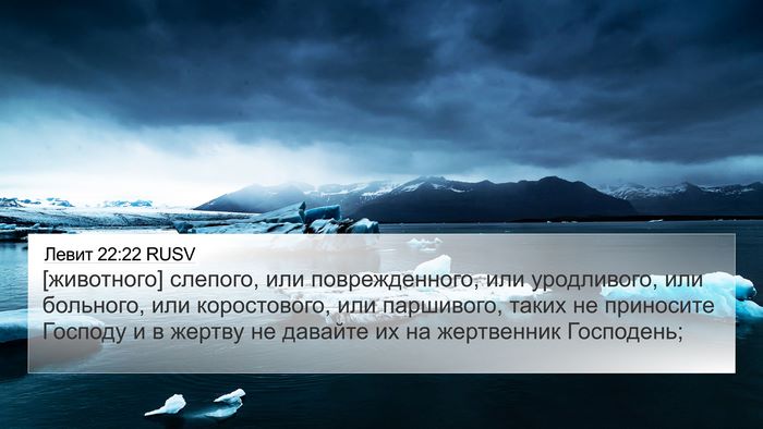 Левит 22:22 RUSV 4K Wallpaper - [животного] слепого, или - 4K Wallpaper Bible Verse