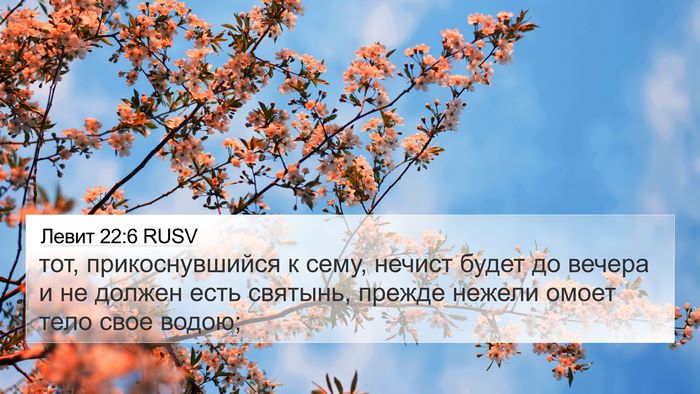 Левит 22:6 RUSV Bible Verse Image