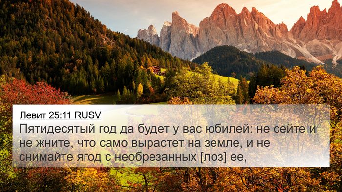 Левит 25:11 RUSV Bible Verse Image