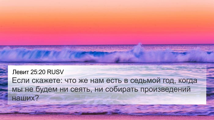 Левит 25:20 RUSV Bible Verse Image
