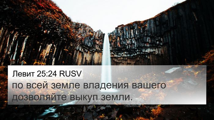 Левит 25:24 RUSV Bible Verse Image