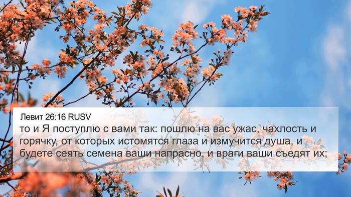 Левит 26:16 RUSV Bible Verse Image