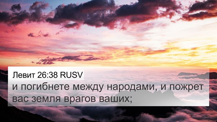 Левит 26:38 RUSV Bible Verse Image