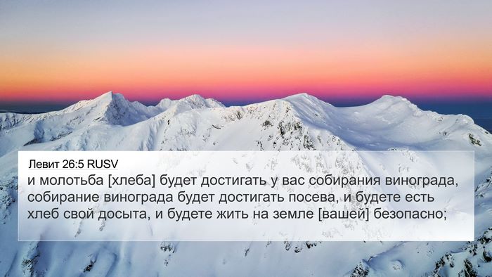 Левит 26:5 RUSV Bible Verse Image