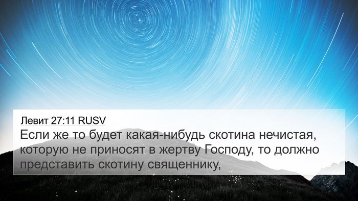 Левит 27:11 RUSV 4K Wallpaper - Если же то будет - 4K Wallpaper Bible Verse
