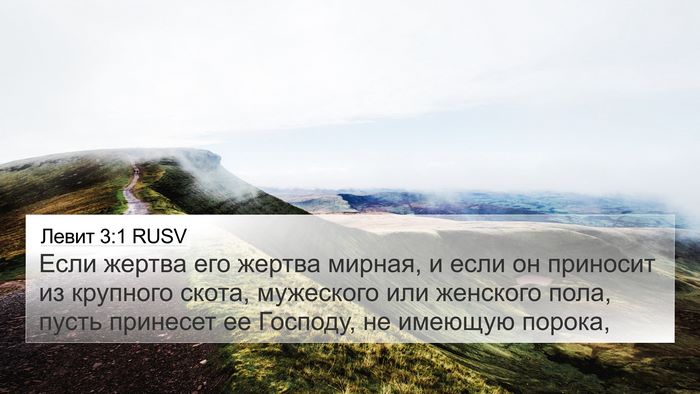 Левит 3:1 RUSV Bible Verse Image