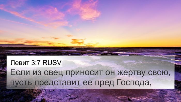 Левит 3:7 RUSV 4K Wallpaper - Если из овец приносит он - 4K Wallpaper Bible Verse