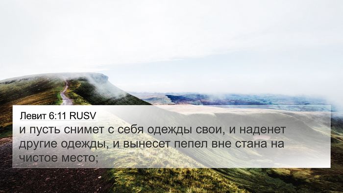 Левит 6:11 RUSV 4K Wallpaper - и пусть снимет с себя - 4K Wallpaper Bible Verse