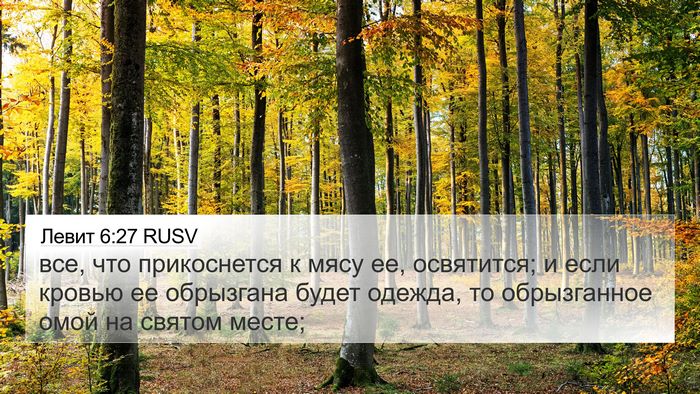 Левит 6:27 RUSV Bible Verse Image
