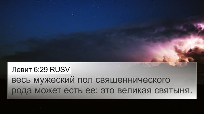 Левит 6:29 RUSV Bible Verse Image
