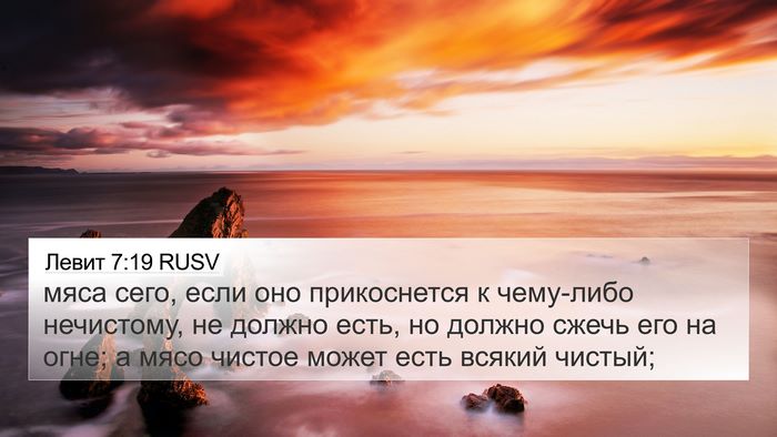 Левит 7:19 RUSV 4K Wallpaper - мяса сего, если оно - 4K Wallpaper Bible Verse
