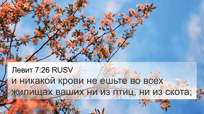 Левит 7:26 RUSV 4K Wallpaper - и никакой крови не ешьте во - 4K Wallpaper Bible Verse