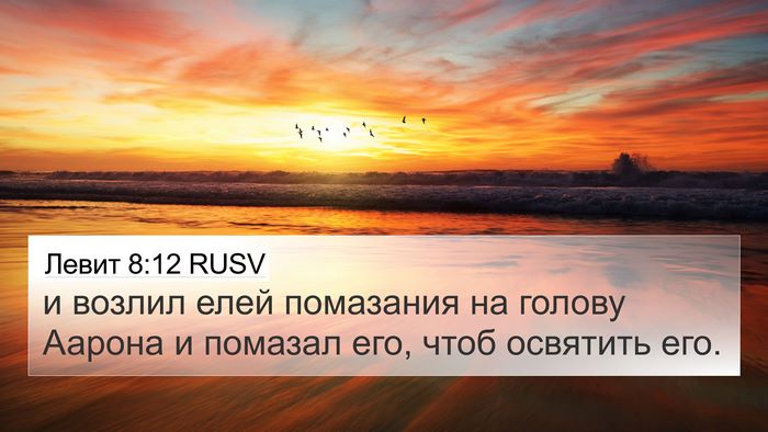 Левит 8:12 RUSV Bible Verse Image