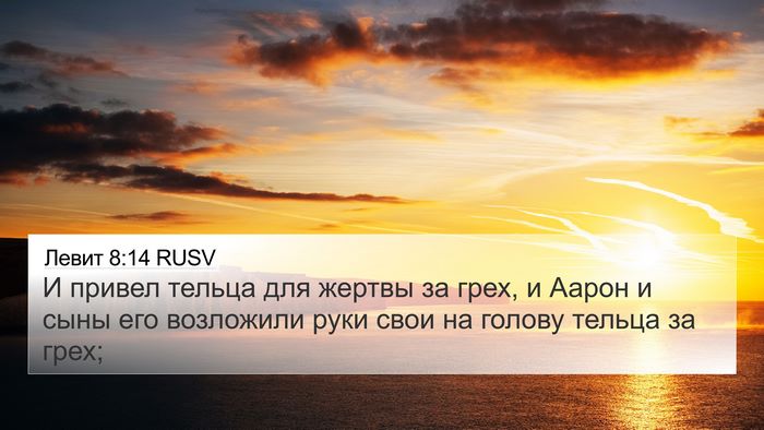 Левит 8:14 RUSV Bible Verse Image