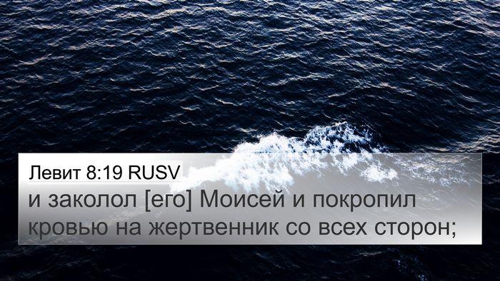 Левит 8:19 RUSV 4K Wallpaper - и заколол [его] Моисей и - 4K Wallpaper Bible Verse