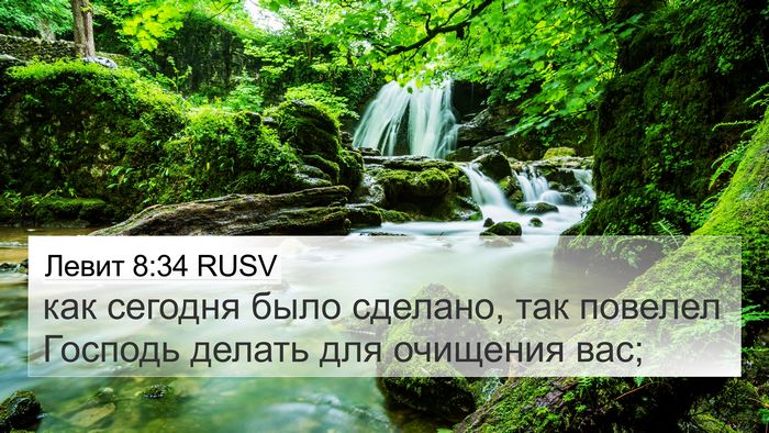 Левит 8:34 RUSV Bible Verse Image